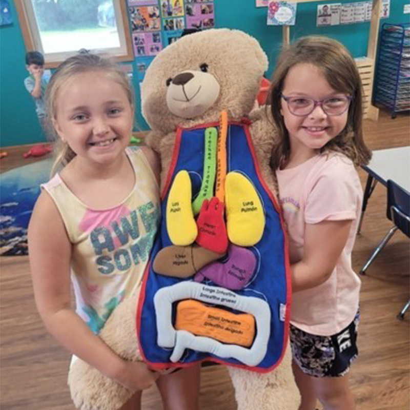 two children holding a teddy bear with organs on it